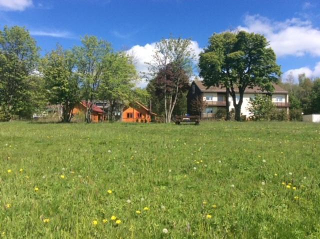 Ferienwohnung Harzblick 4 Braunlage Esterno foto
