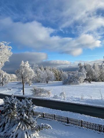 Ferienwohnung Harzblick 4 Braunlage Esterno foto